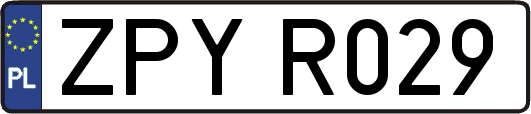 ZPYR029