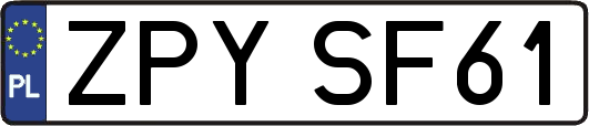 ZPYSF61