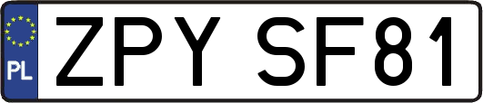 ZPYSF81