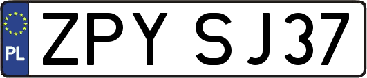 ZPYSJ37