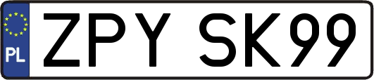 ZPYSK99