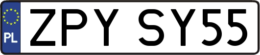 ZPYSY55