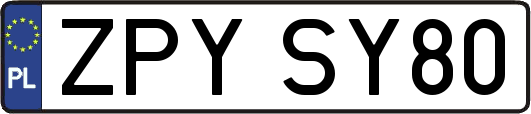 ZPYSY80