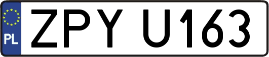 ZPYU163