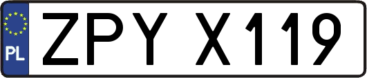 ZPYX119
