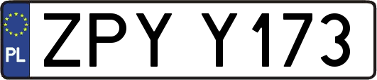 ZPYY173