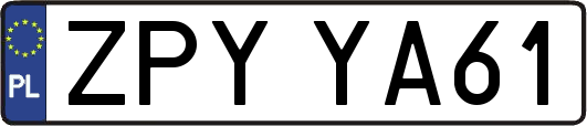 ZPYYA61
