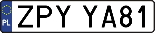 ZPYYA81