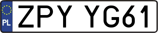 ZPYYG61