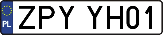 ZPYYH01