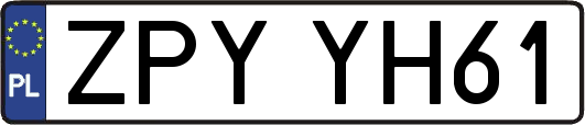 ZPYYH61