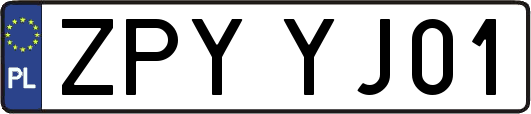 ZPYYJ01