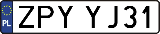 ZPYYJ31
