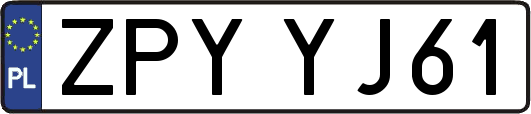 ZPYYJ61