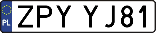 ZPYYJ81