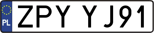ZPYYJ91