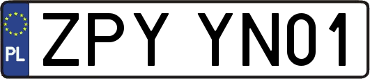 ZPYYN01