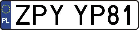 ZPYYP81
