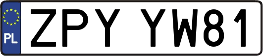 ZPYYW81