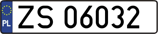 ZS06032