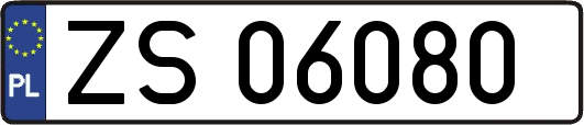 ZS06080