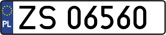 ZS06560