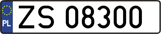 ZS08300
