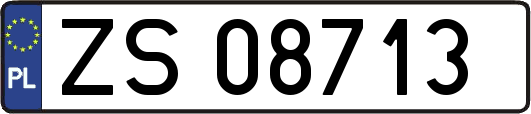 ZS08713