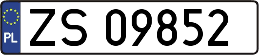ZS09852