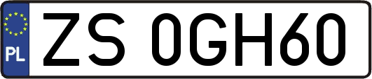 ZS0GH60