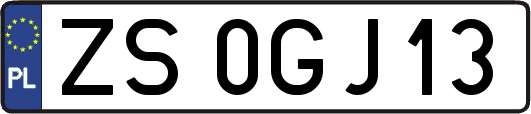 ZS0GJ13
