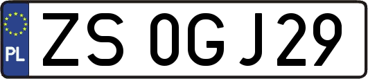 ZS0GJ29