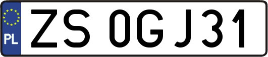 ZS0GJ31