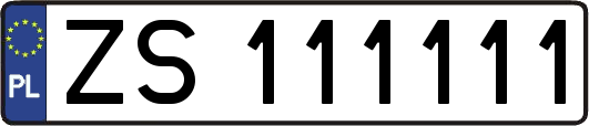 ZS111111