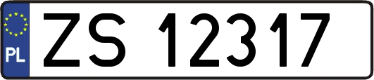 ZS12317