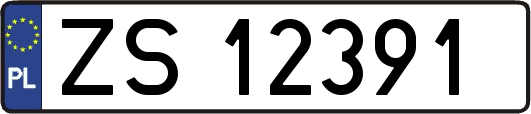ZS12391