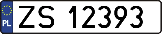 ZS12393