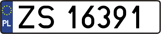 ZS16391