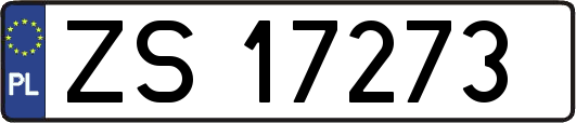 ZS17273