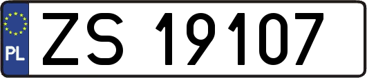 ZS19107
