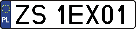 ZS1EX01