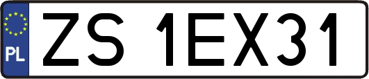 ZS1EX31