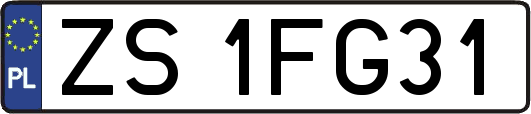 ZS1FG31