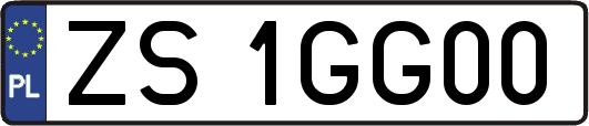 ZS1GG00