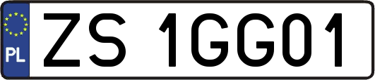 ZS1GG01
