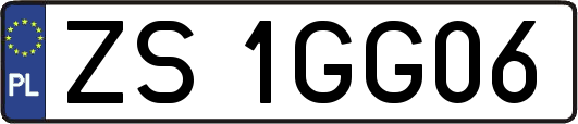 ZS1GG06