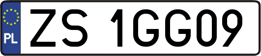 ZS1GG09