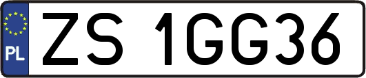 ZS1GG36