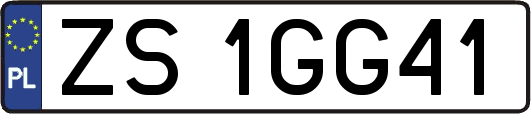 ZS1GG41