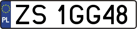 ZS1GG48